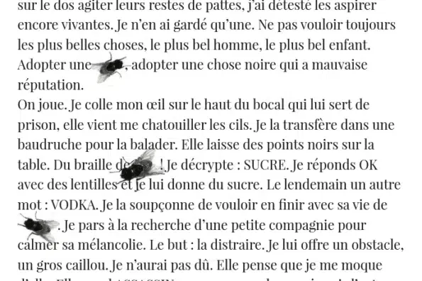 Revue Lichen - Parution d'une poésie graphique - La Mouche