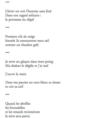 Nous, avec le poème comme seul courage - Climatique page 2