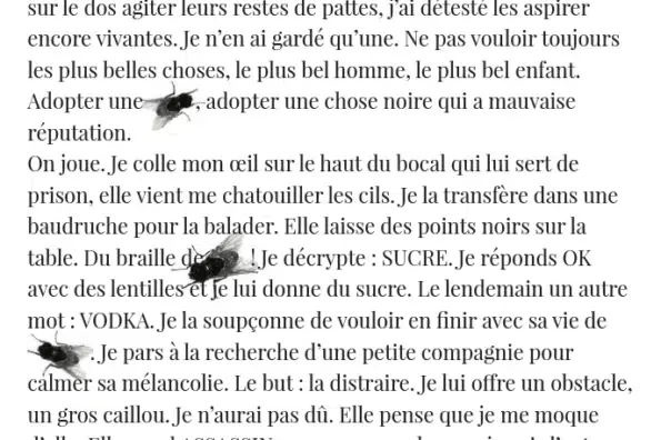 Revue Lichen - Parution d'une poésie graphique - La Mouche