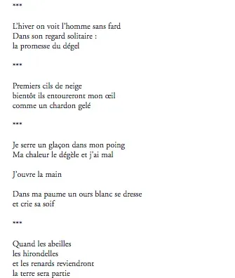 Nous, avec le poème comme seul courage - Climatique page 2