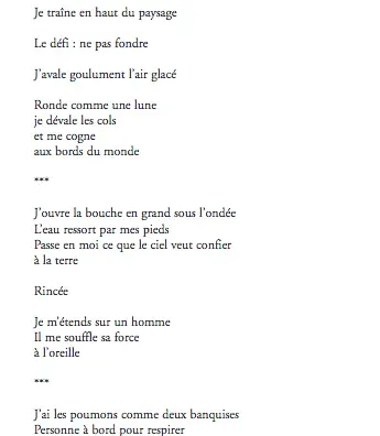 Nous, avec le poème comme seul courage - Climatique page 1